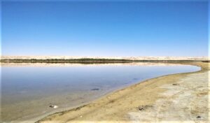 things to do in Hurghada Eg